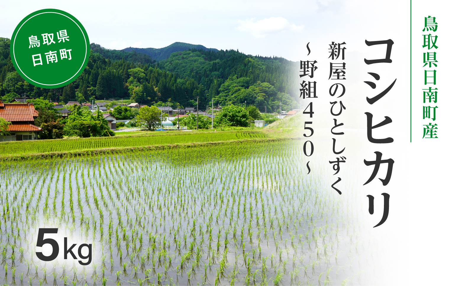 令和7年産 新米 先行予約 鳥取県日南町産コシヒカリ 5kg 新屋のひとしずく ～野組450～ 米 お米 おこめ 精米 こしひかり
