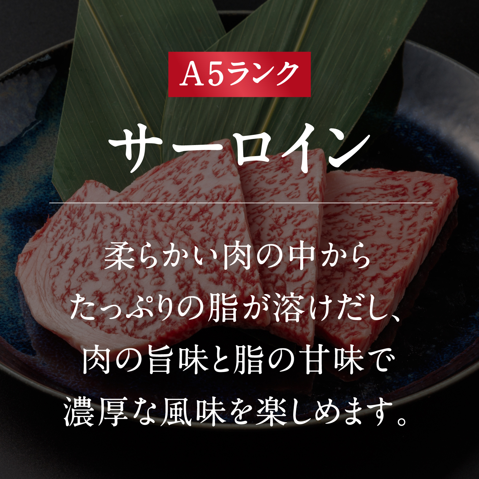 A5ランク 鳥取和牛焼肉食べ比べ 厳選部位4種類 合計400g 牛肉 精肉 肉 カタセイ 上カルビ 食べ比べセット サーロイン 肩ロース ランプ 牛モモ 三角バラ 特上カルビ カルビ 和牛 高級肉 お肉 焼肉