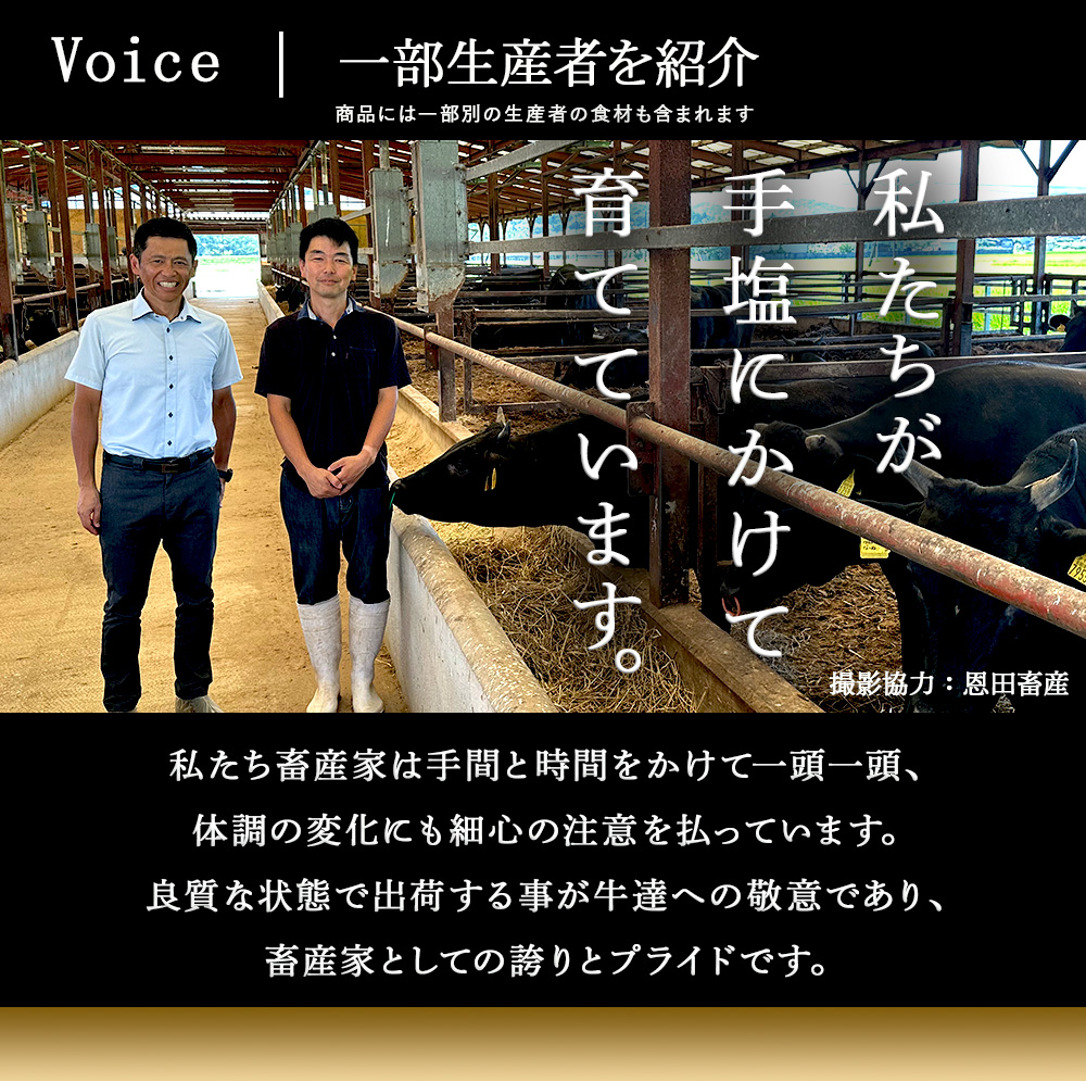 A5ランク 鳥取和牛焼肉食べ比べ 厳選部位4種類 合計400g 牛肉 精肉 肉 カタセイ 上カルビ 食べ比べセット サーロイン 肩ロース ランプ 牛モモ 三角バラ 特上カルビ カルビ 和牛 高級肉 お肉 焼肉