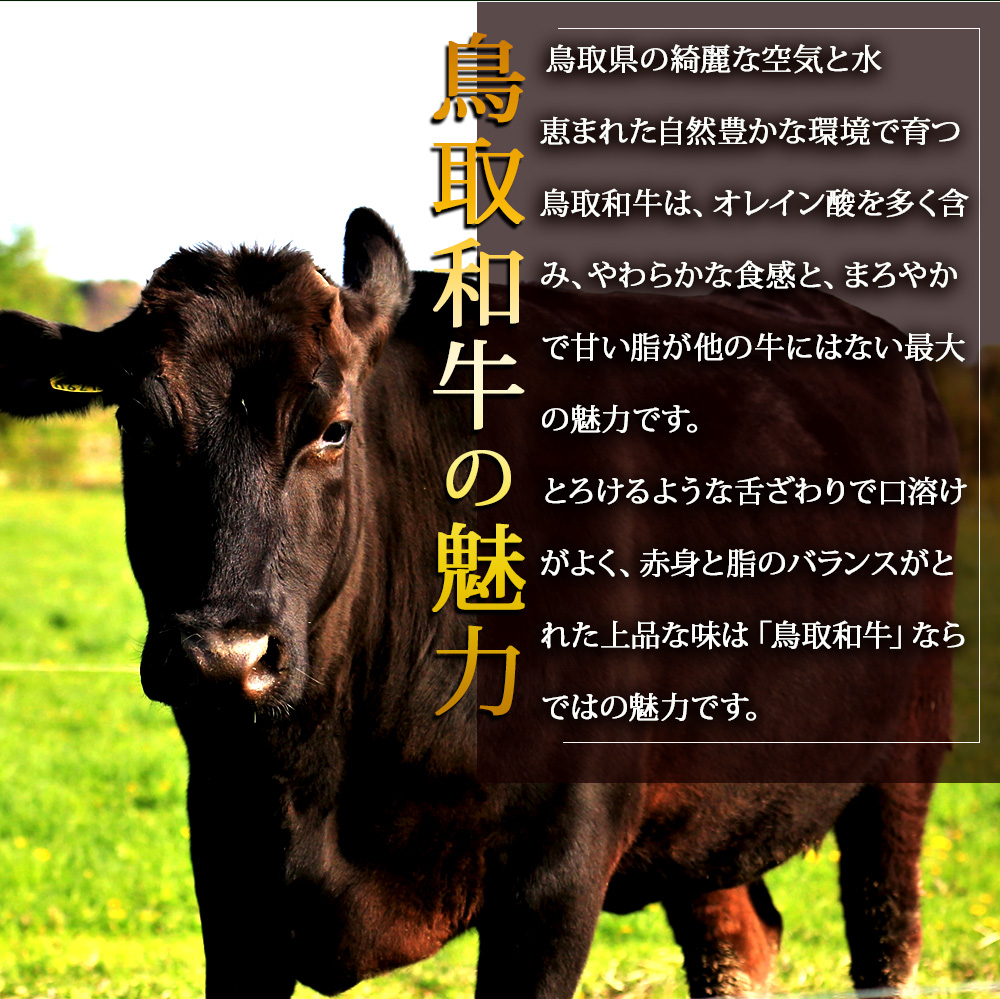 A5ランク 鳥取和牛焼肉食べ比べ 厳選部位4種類 合計400g 牛肉 精肉 肉 カタセイ 上カルビ 食べ比べセット サーロイン 肩ロース ランプ 牛モモ 三角バラ 特上カルビ カルビ 和牛 高級肉 お肉 焼肉