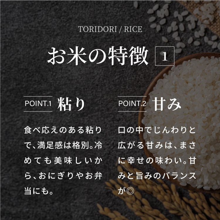 【新米】【令和6年産】鳥取県産コシヒカリ 10kg（5kg×2）米 コシヒカリ こしひかり お米 白米 精米 10キロ おこめ こめ コメ 送料無料 真空パック包装 真空包装 長期保存 単一原料米 鳥取県日野町産