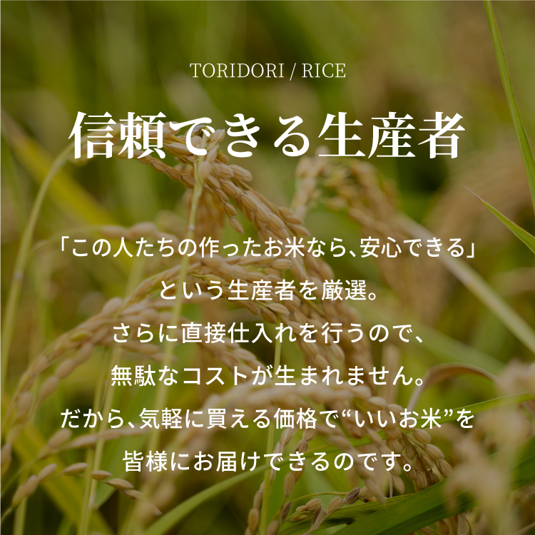 【初回：9月下旬以降発送】【ふるさと納税】【新米・令和8年産】【定期便】鳥取県産コシヒカリ 10kg×6か月 米 コシヒカリ こしひかり お米 白米 精米 おこめ こめ コメ 真空パック包装 真空包装 長期保存 単一原料米 鳥取県日野町産 Elevation