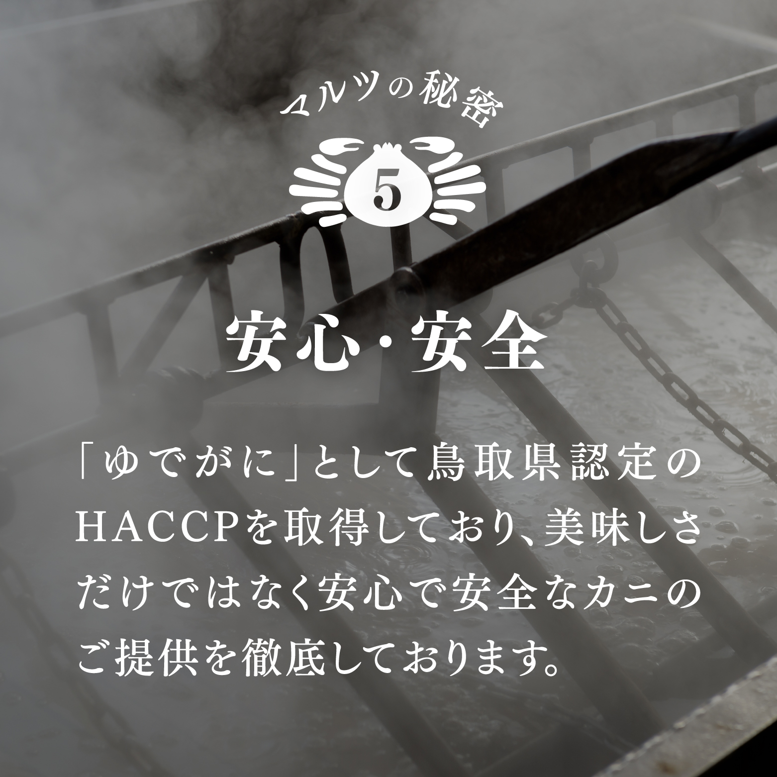 【早期先行予約】【訳あり】蟹屋の釜茹で紅ずわい蟹1.8kg箱詰めセット 600g前後×3枚 【北海道・沖縄・離島配送不可】 ベニズワイガニ 紅ずわいがに カニ かに 境港 マルツ ボイルズワイガニ 鳥取県日野町