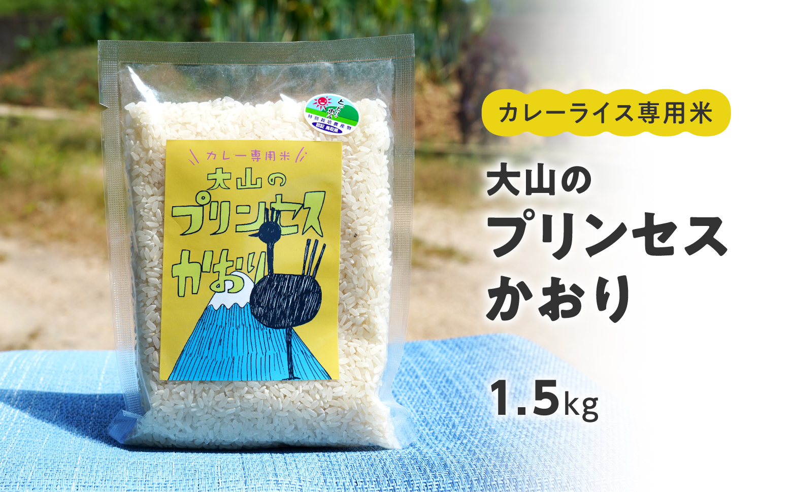 カレーライス専用米 大山のプリンセスかおり 1.5kg 鳥取県産 特別栽培米 農薬不使用 化学肥料不使用