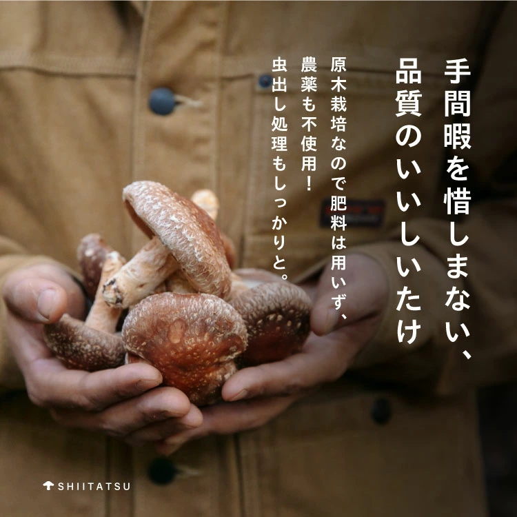 低温乾燥シイタケ「しいたろう」140g（35g×4袋） 