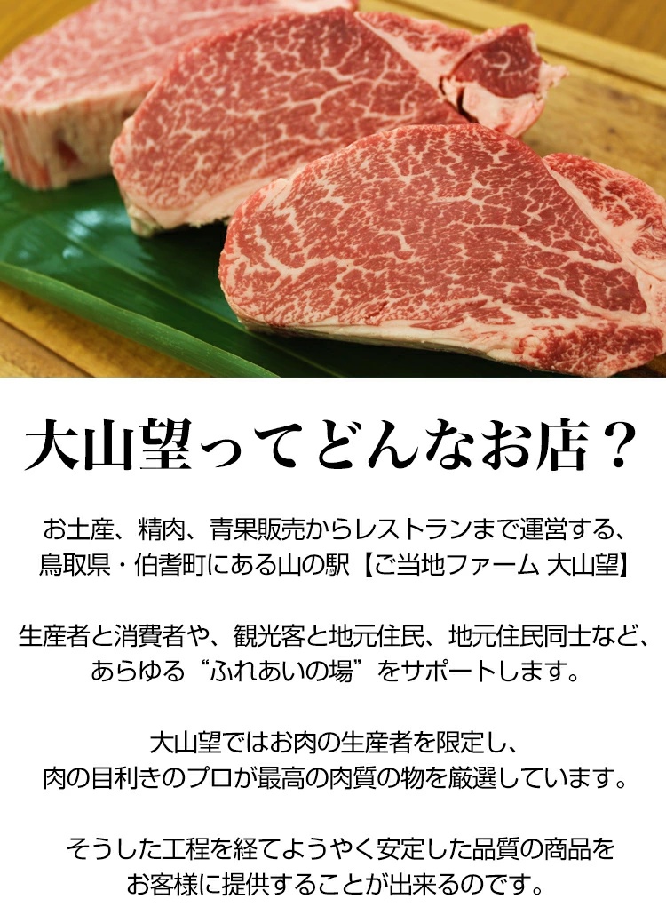 大山望 鳥取和牛 切り落とし肉（もも、腕）500g 牛肉 和牛 お肉 切り落とし