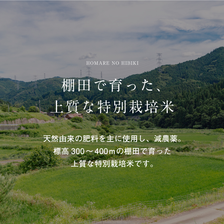 【優栽】【新米・予約】【令和6年産】（玄米 5kg）優栽：特別栽培米