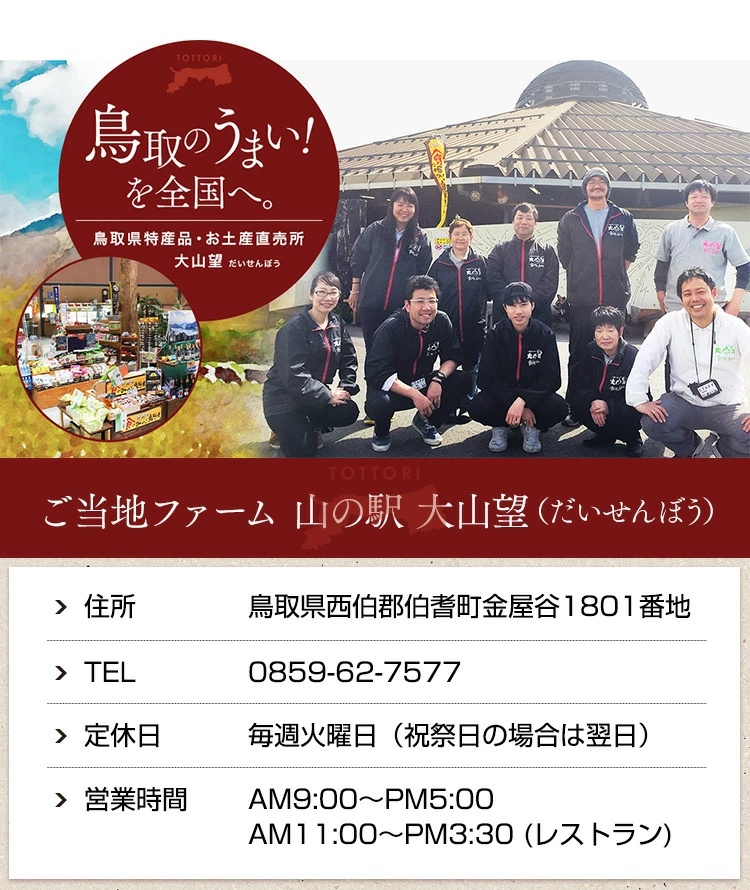 大山望 鳥取和牛 切り落とし肉（もも、腕）500g 牛肉 和牛 お肉 切り落とし
