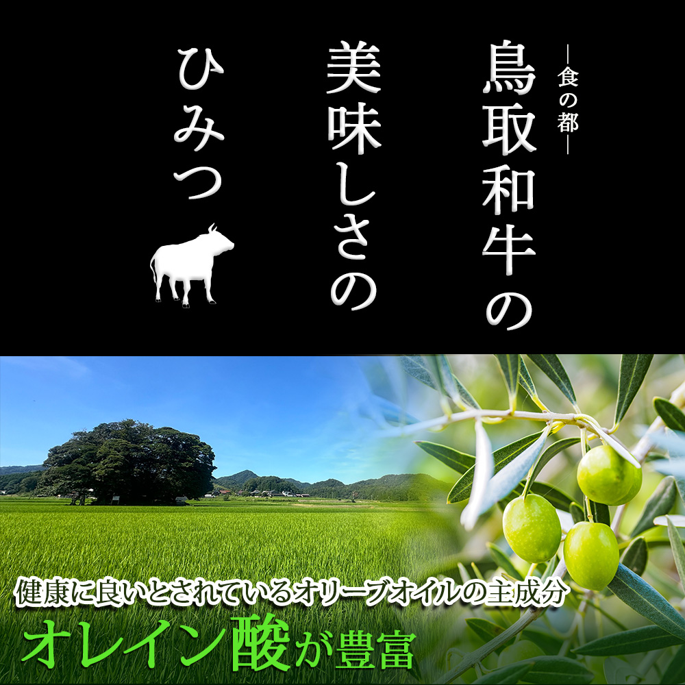 A5ランク 鳥取和牛肩ロース切り落とし 400g 牛肉 精肉 肉 カタセイ 切り落とし 和牛 国産 和牛 黒毛和牛 国産和牛 すき焼 しゃぶしゃぶ すきやき