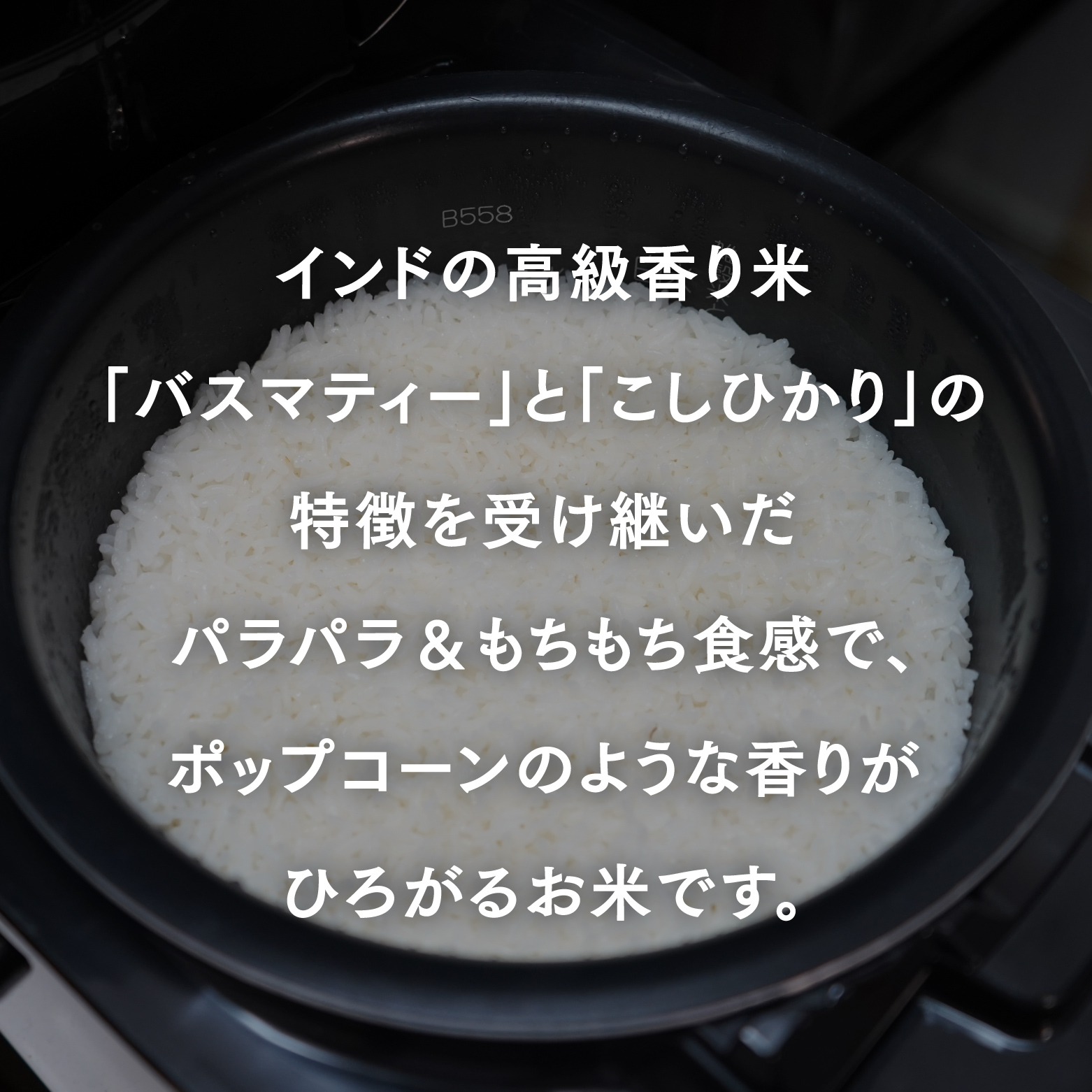 カレーライス専用米 大山のプリンセスかおり 900g 鳥取県産 特別栽培米 農薬不使用 化学肥料不使用 