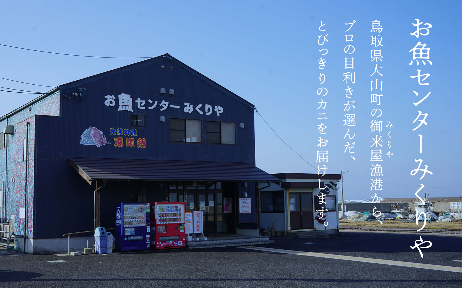 訳あり足1本折れボイル松葉ガニ（600g〜700gを1枚）OM-31