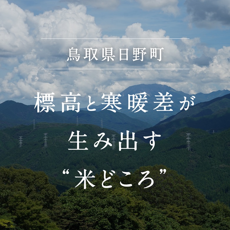 【2024年11月下旬以降発送】【お試し】鳥取県日野町産コシヒカリ 玄米ごはん 玄米パック 160g×12個入り おこめのみかた パックごはん パックご飯