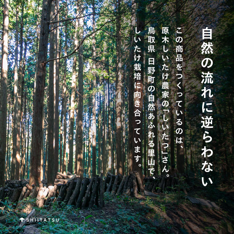 低温乾燥シイタケ「しいたろう」140g（35g×4袋） 