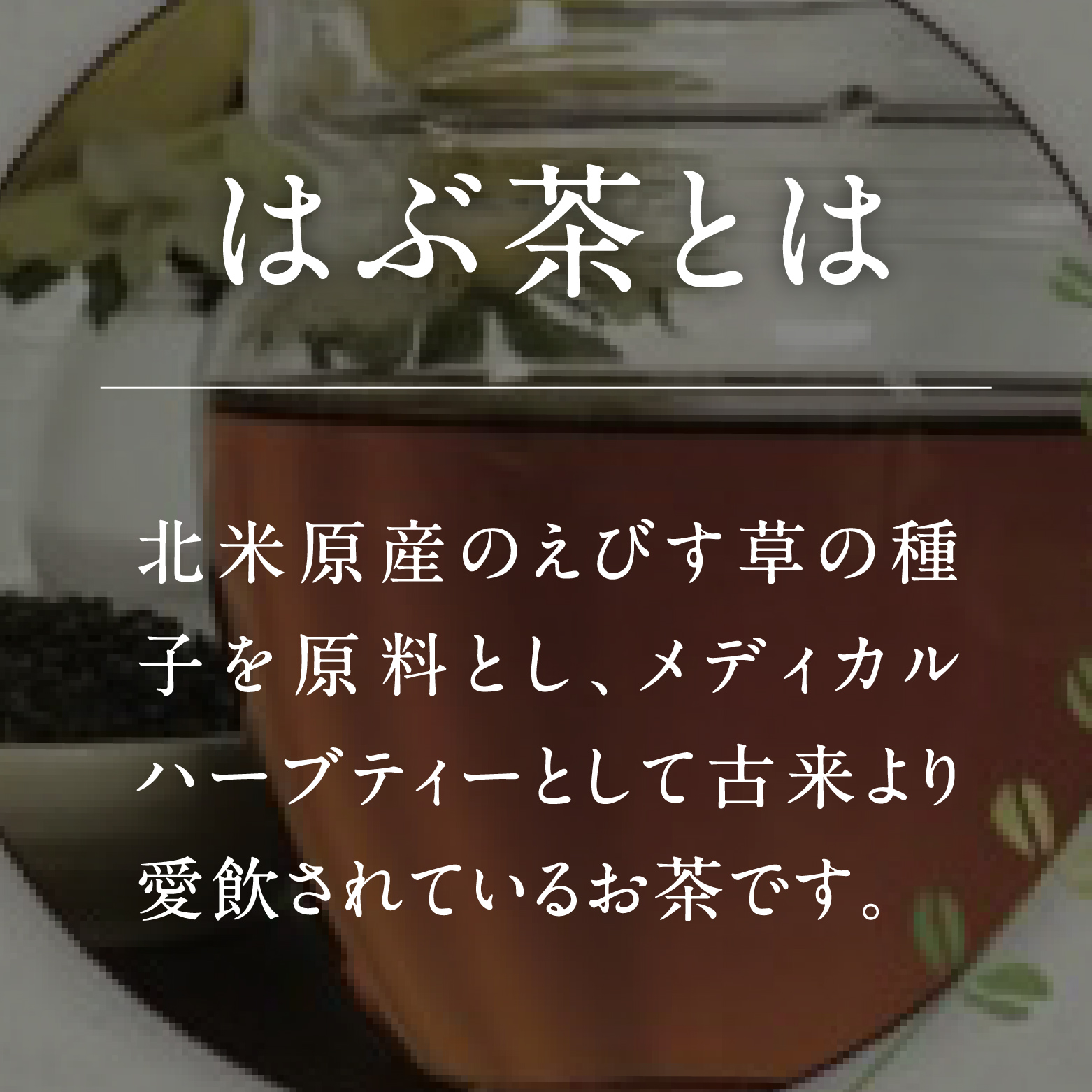 焙煎はぶ茶 100g×2袋(合計200g) 彌生ファーマー お茶 茶 ハブ茶 ハーブティー 鳥取県日野町