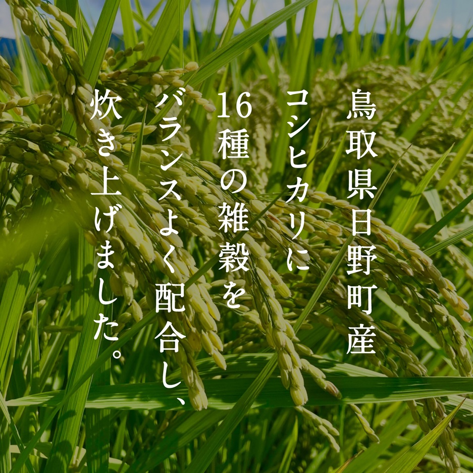 十六雑穀ごはん 雑穀パックご飯 160g×36個 レトルト 雑穀パックごはん 雑穀 鳥取県日野町産コシヒカリ 米 こめ コメ おこめのみかた