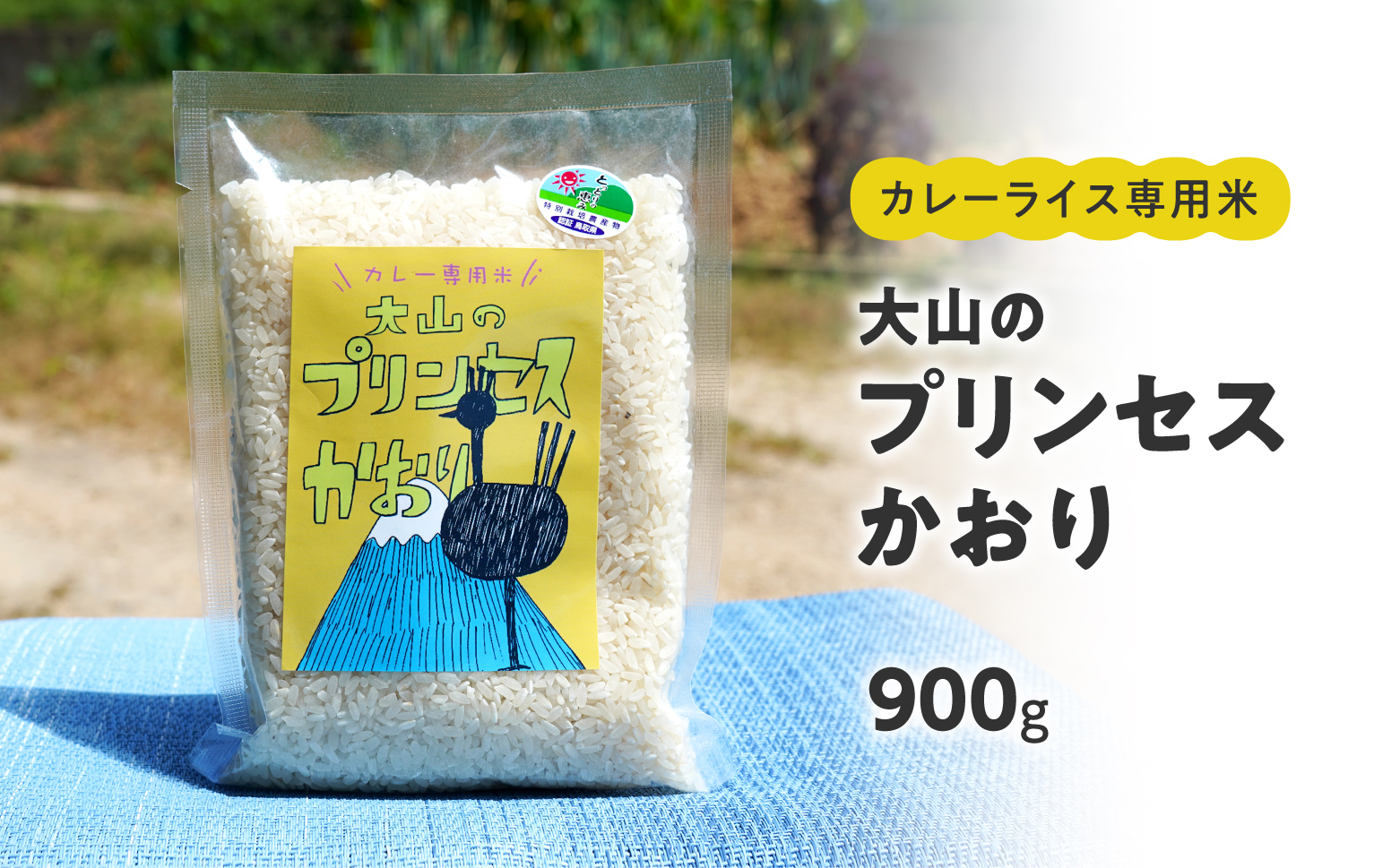 カレーライス専用米 大山のプリンセスかおり 900g 鳥取県産 特別栽培米 農薬不使用 化学肥料不使用 