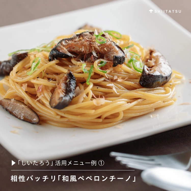 低温乾燥シイタケ「しいたろう」210g（35g×6袋） 