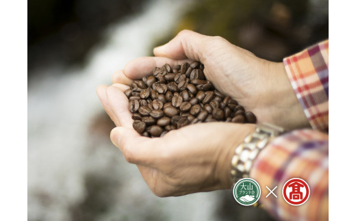 <奥大山の水洗い珈琲> コーヒー（豆）飲み比べセット グアテマラ・マンデリン・ブナの森 39-CY15 1042