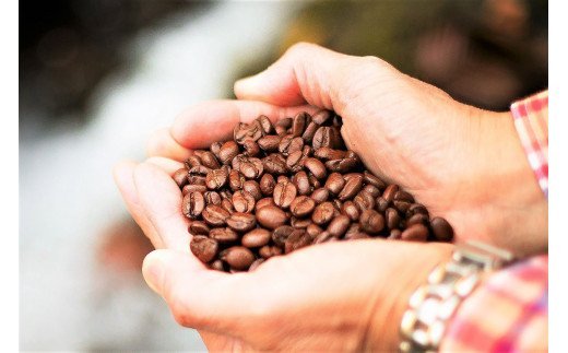 スペシャルブレンド ブナの森 豆 お試し70g×2 コーヒー 奥大山の水洗い珈琲 0779