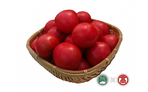 日南町産トマト食べ比べセット（大山ブランド会）高島屋 とまと桃太郎 麗夏 20-f8 0554