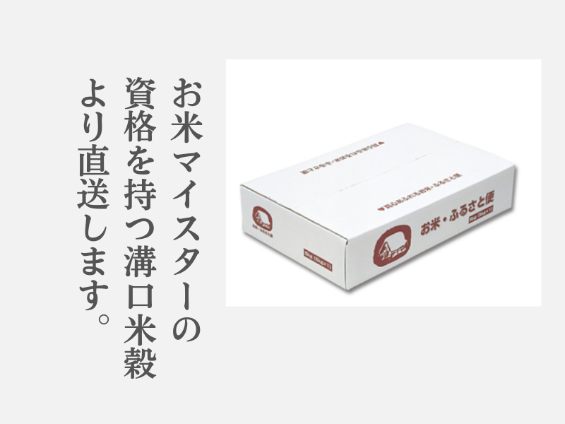 米 こしひかり5kg 鳥取県産 こめ 精米 コシヒカリ 5キロ 令和6年産 送料無料 1052