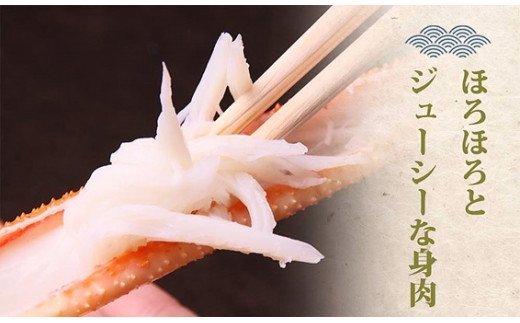 縲占頂縺励題ィウ縺ゅj 雜ウ謚倥l譚セ闡峨ぎ繝九險1.5ス具ス蜑榊セ / 縺壹o縺縺後↓ 繧ォ繝 險ウ繧「繝ェ TM13 0723