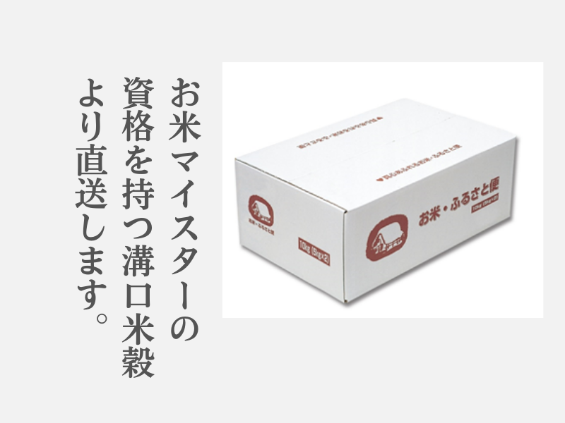 米 こしひかり5kg×2 計10キロ 鳥取県産 こめ 精米 コシヒカリ 令和6年産 送料無料 1053