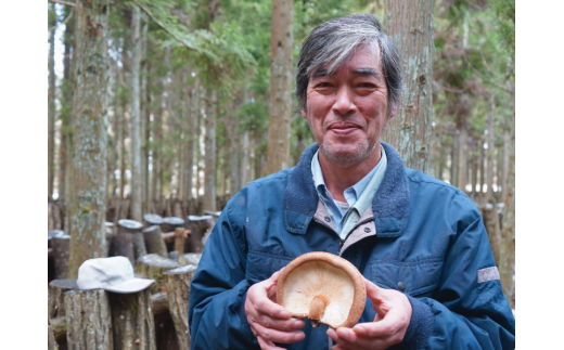 中尾さんちの乾椎茸 大 100g 2袋 原木栽培 大きいサイズ 干しシイタケ / SAC中尾 椎茸屋 0799