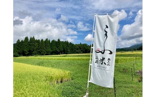 【令和7年産】奥大山江府米きぬむすめ ３kg×1 /  プレミアム 特別栽培 キヌムスメ 研究 精米 3ｷﾛ　0626