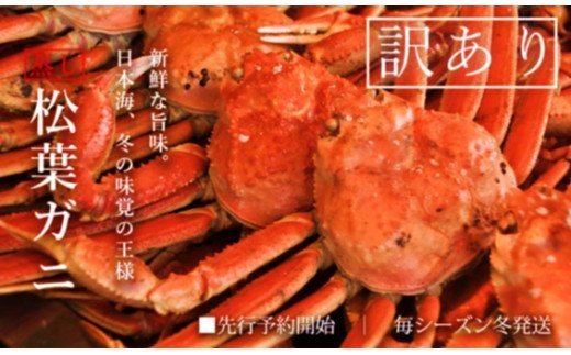 【蒸し】訳あり 足折れ松葉ガニ　計1.5ｋｇ前後 / ずわいがに カニ 訳アリ TM13 0723