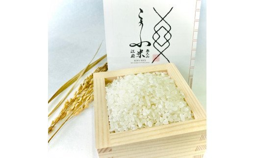 【令和7年産】奥大山江府米きぬむすめ ３kg×1 /  プレミアム 特別栽培 キヌムスメ 研究 精米 3ｷﾛ　0626