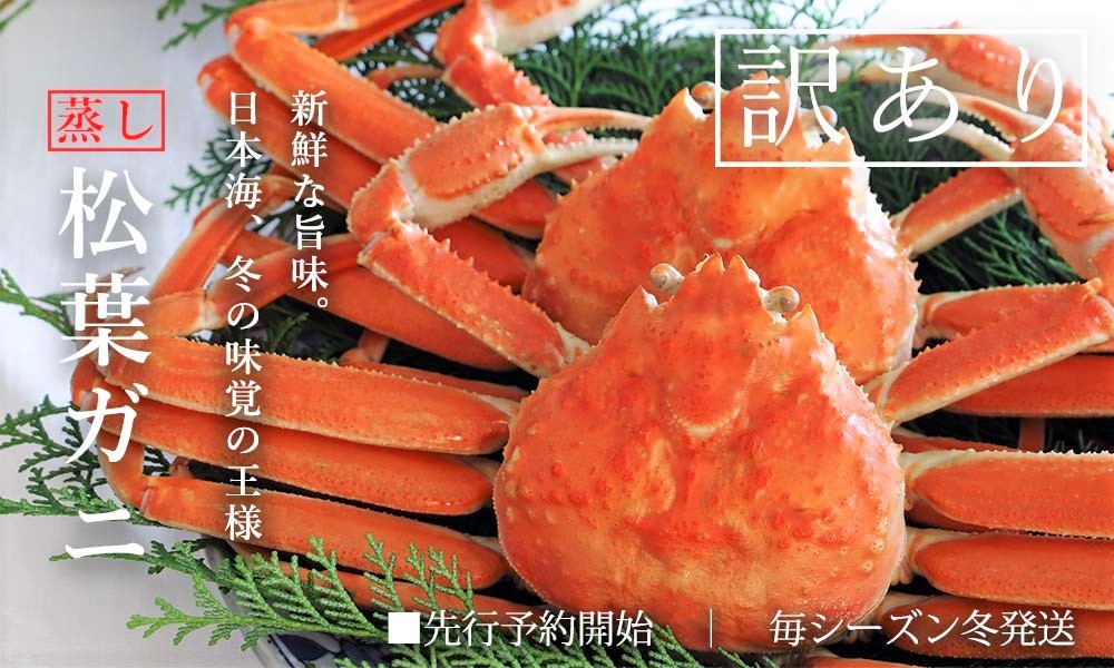 【蒸し】松葉ガニ 大2枚 訳あり ご自宅用 (1枚800〜940g前後) ズワイガニ かに TM4 0714