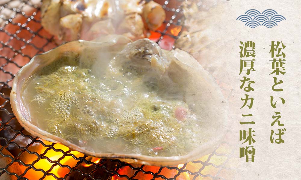 【蒸し】訳あり足折れ松葉ガニ　計 1ｋｇ前後 /ずわいがに 訳アリ かに  TM16  0726