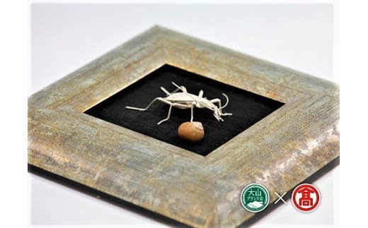 ＜tree frog＞銀の虫オブジェ マイマイカブリ 額装 / metal insect series 昆虫 170-BD4 0640