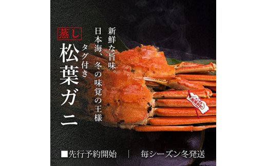 【蒸し】タグ付き松葉ガニ 中 2枚 / ( 枚500〜640ｇ前後)  ずわいがに カニ TM10 0720