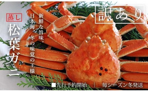 【蒸し】ご自宅用　松葉ガニ 中 3枚 / (１枚500〜640ｇ前後)  ずわいがに カニ TM8 0718