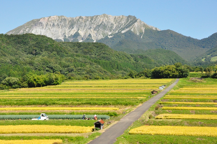 【JALふるさと納税限定】令和6年産 特別栽培米きぬむすめ 奥大山江府米 5kg 鳥取県江府町産 先行予約 YA1 0811