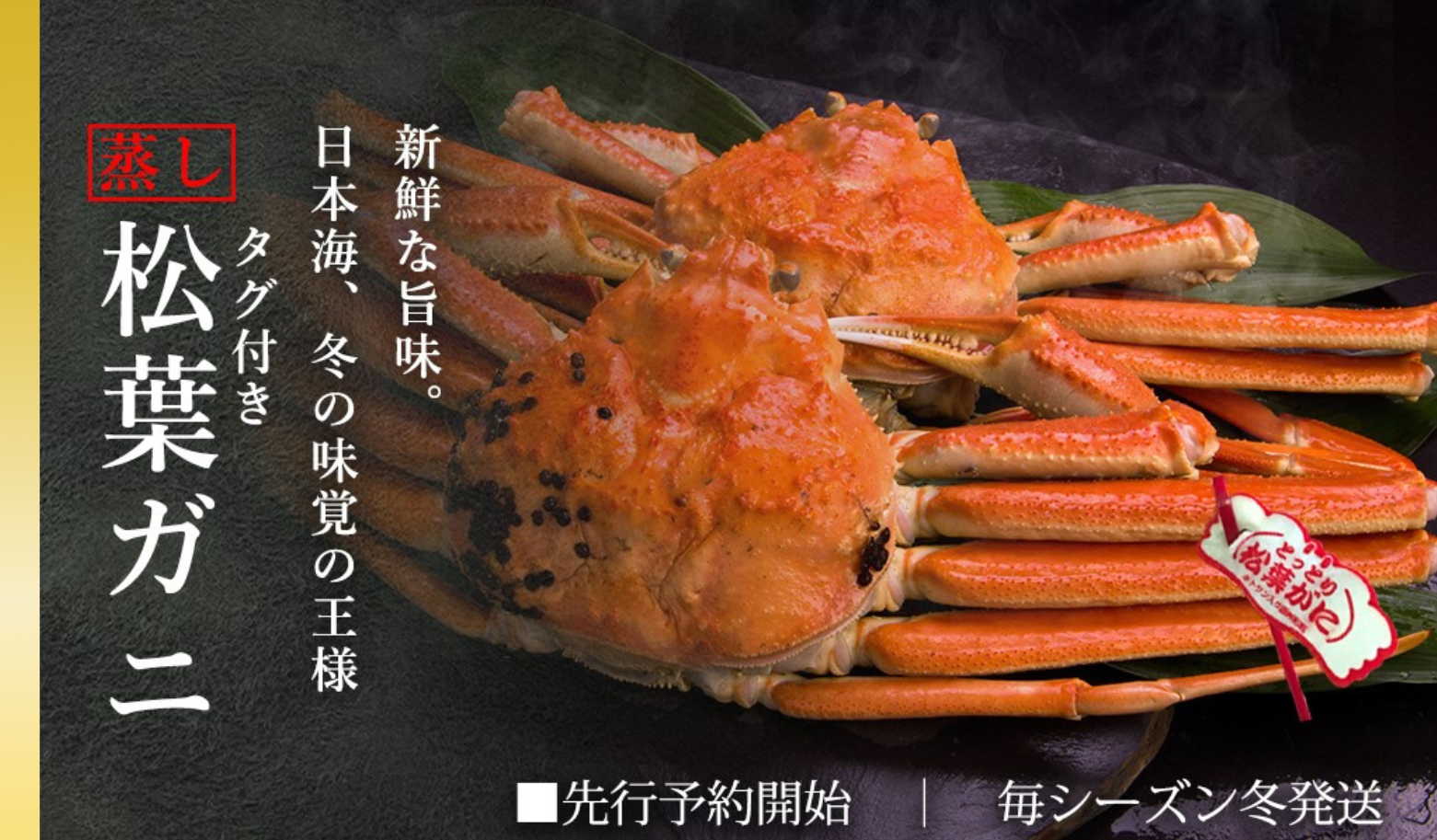 【蒸し】タグ付き松葉ガニ 大1枚 800〜940g 前後 先行予約受付 ズワイガニ かに 11月上旬〜3月上旬発送 TM6 0716