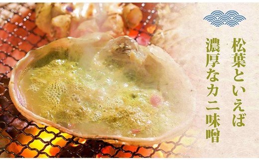 縲占頂縺励題ィウ縺ゅj 雜ウ謚倥l譚セ闡峨ぎ繝九險1.5ス具ス蜑榊セ / 縺壹o縺縺後↓ 繧ォ繝 險ウ繧「繝ェ TM13 0723