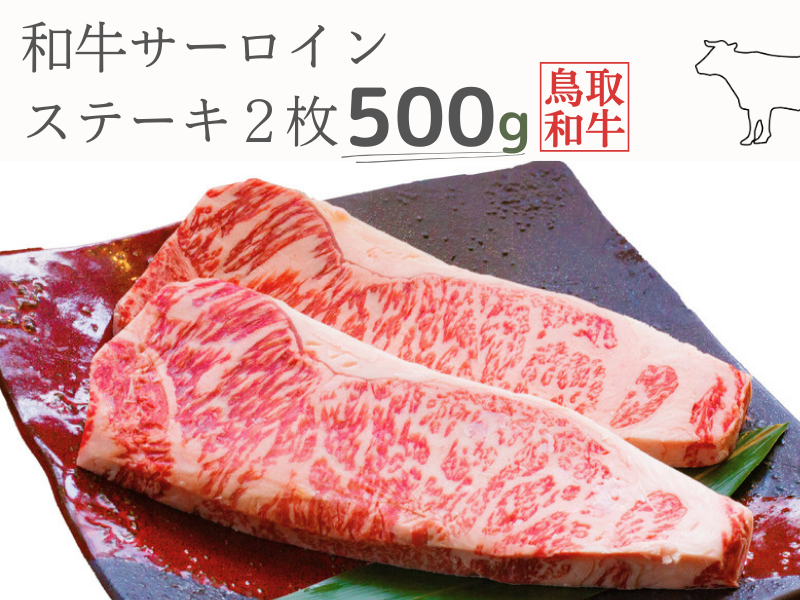 土佐和牛＆四万十ポーク合い挽きハンバーガーセット【オーロラソース