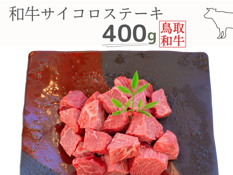 土佐和牛＆四万十ポーク合い挽きハンバーガーセット【オーロラソース