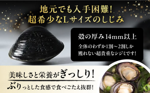 地元でも入手困難なレアサイズ！ Lサイズ 宍道湖産ヤマトシジミ(冷凍砂抜き済み)1kg×2袋(2kg) 島根県松江市/宍道湖漁業協同組合 [ALAZ003]