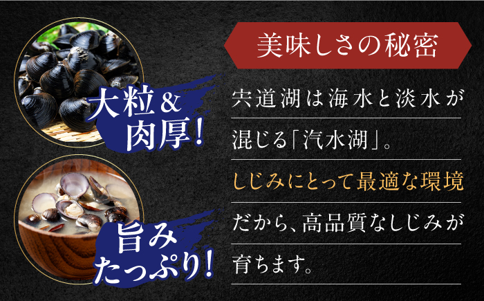 【年内発送】超希少！特大粒プレミアムサイズ 宍道湖産冷凍大和しじみ 特大粒500g×2袋 島根県松江市/平野缶詰有限会社 [ALBZ014]