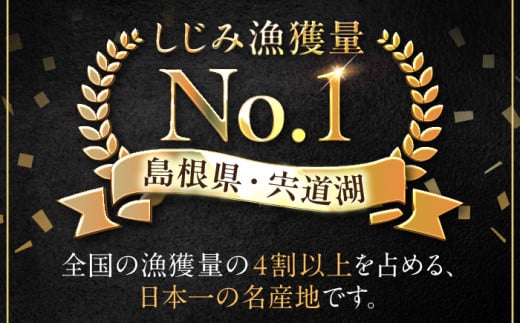 宍道湖産しじみ2Lサイズ2kg(生鮮･砂抜済･活しじみ)鮮度抜群でお送りする･貴重な特大粒！ 島根県松江市/有限会社藤本米穀店 [ALCG009]