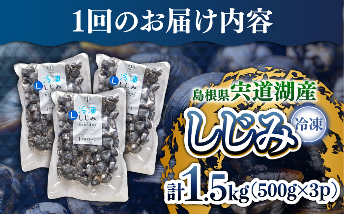 【全6回定期便】食べる分だけさっと使える！宍道湖産 冷凍大和しじみ (L)500g×3袋 島根県松江市/平野缶詰有限会社 [ALBZ040]