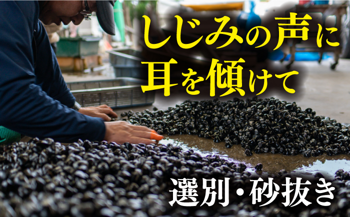 【全12回定期便】宍道湖産 冷凍大和しじみ 砂抜き済 Lサイズ800×2袋(1.6kg) 島根県松江市/しじみ市場株式会社 [ALDK008]