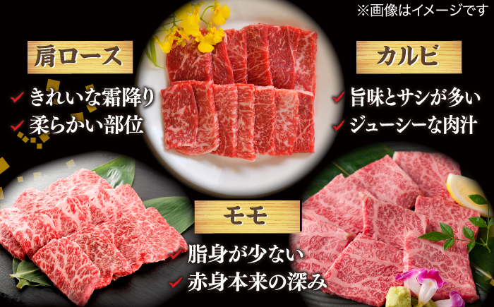 【ブランド牛・しまね和牛】焼肉3種セット(肩ロース・カルビ・モモ) 各200g 島根県松江市/Do corporation株式会社（しまね和牛） [ALFU017]