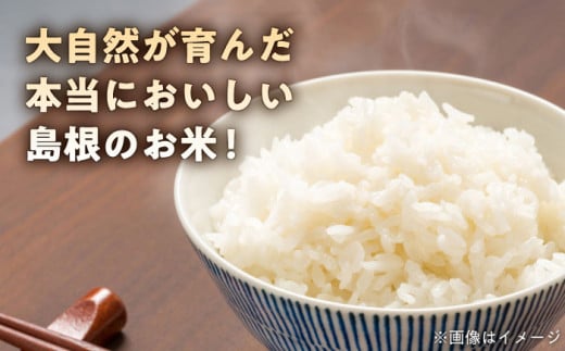 【全6回定期便】松江市産きぬむすめ 10kg 島根県松江市/フジキコーポレーション株式会社 [ALDS022]