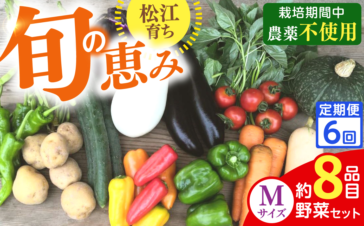 【全6回定期便】旬の野菜セットMサイズ 島根県松江市/須山農園 [ALBD009]