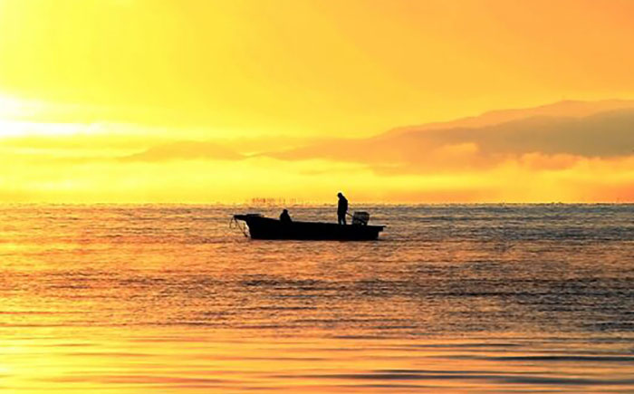 宍道湖産しじみ使用 しじみラーメン貝付 6食セット 島根県松江市/株式会社なかたか [ALBQ003]
